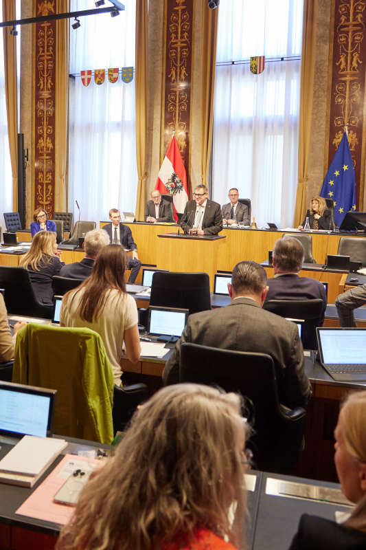 Am Redner:innenpult Bundesrat Christoph Thoma (ÖVP)