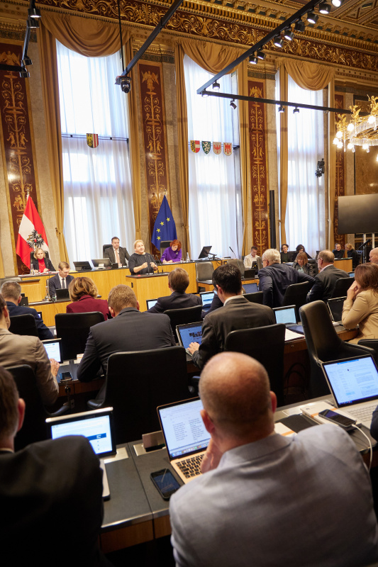 Am Redner:innenpult Vorsitzende der Bundesratsfraktion Korinna Schumann (SPÖ)