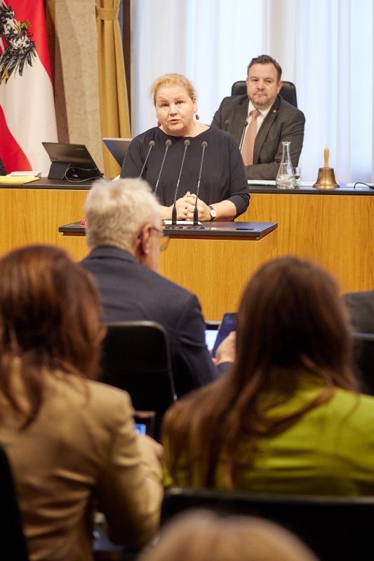 Am Redner:innenpult Vorsitzende der Bundesratsfraktion Korinna Schumann (SPÖ)