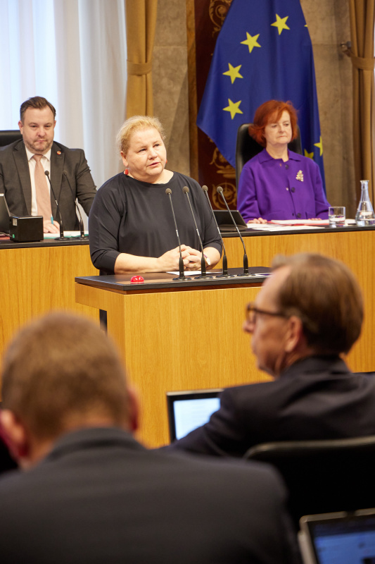 Am Redner:innenpult Vorsitzende der Bundesratsfraktion Korinna Schumann (SPÖ)