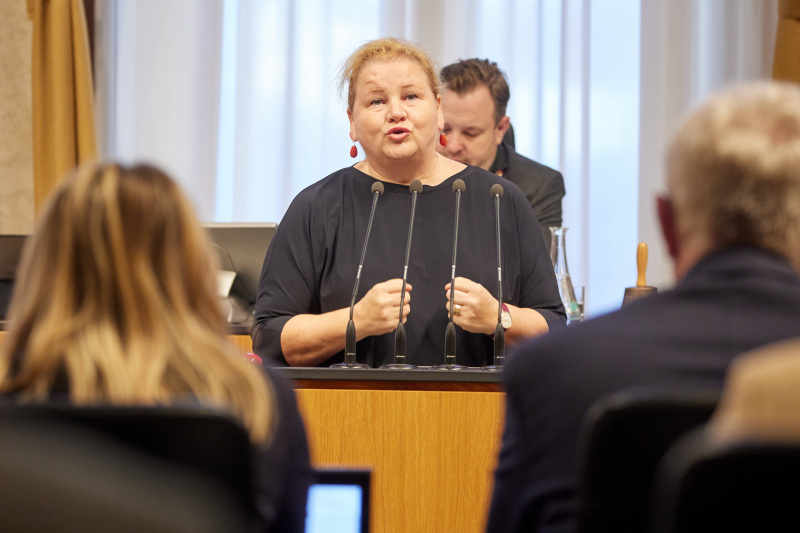 Am Redner:innenpult Vorsitzende der Bundesratsfraktion Korinna Schumann (SPÖ)