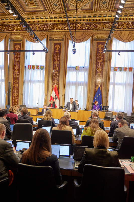 Am Redner:innenpult Vorsitzender der Bundesratsfraktion Andreas Arthur Spanring (FPÖ)