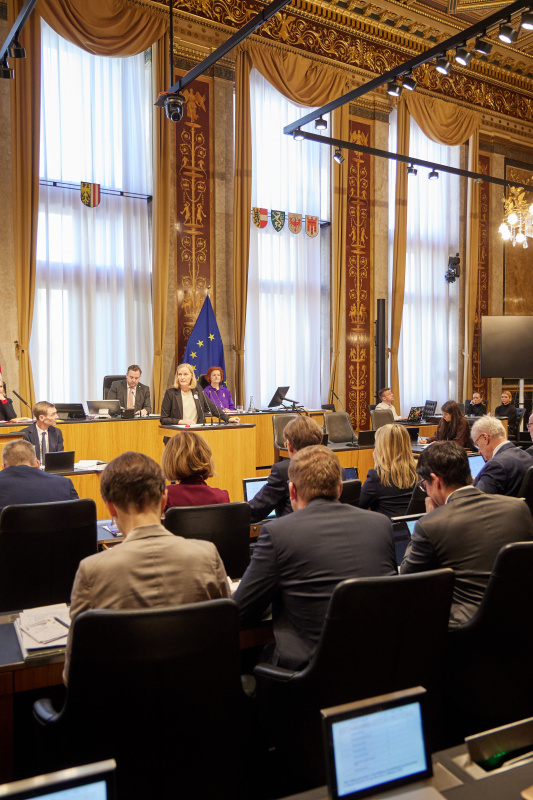 Am Redner:innenpult Bundesrätin Maria Huber (GRÜNE)