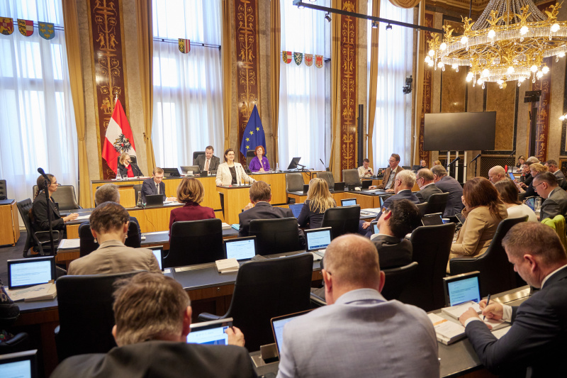 Am Redner:innenpult Bundesrätin Manuela-Anna Sumah-Vospernik (NEOS)