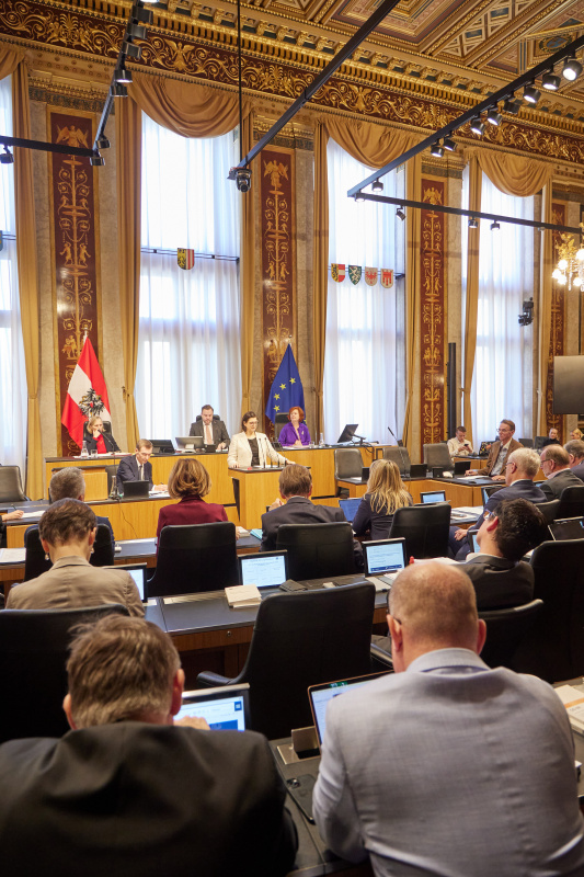 Am Redner:innenpult Bundesrätin Manuela-Anna Sumah-Vospernik (NEOS)