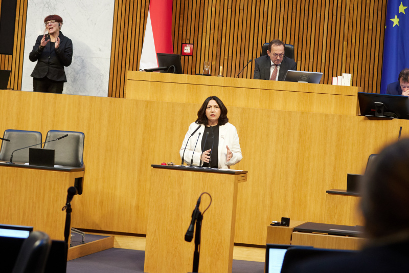 Am Redner:innenpult Nationalratsabgeordnete Selma Yildirim (SPÖ)