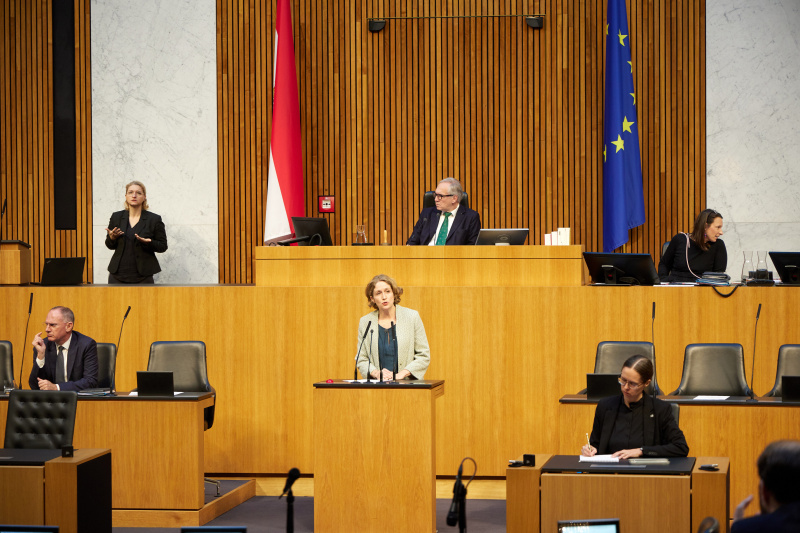 Am Redner:innenpult Nationalratsabgeordnete Stefanie Krisper (NEOS)