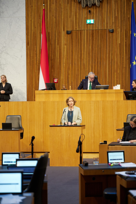 Am Redner:innenpult Nationalratsabgeordnete Stefanie Krisper (NEOS)