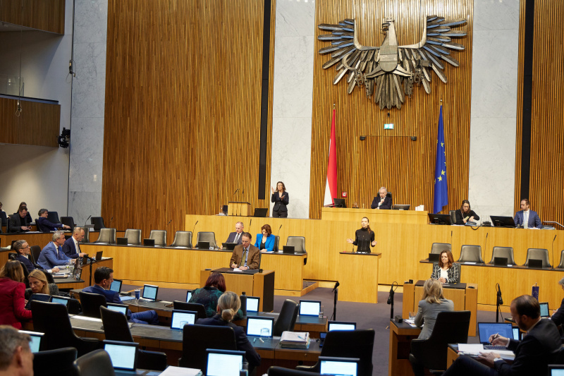 Am Redner:innenpult Nationalratsabgeordnete Susanne Fürst (FPÖ)