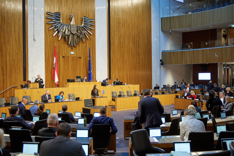 Am Redner:innenpult Nationalratsabgeordnete Meri Disoski (GRÜNE)