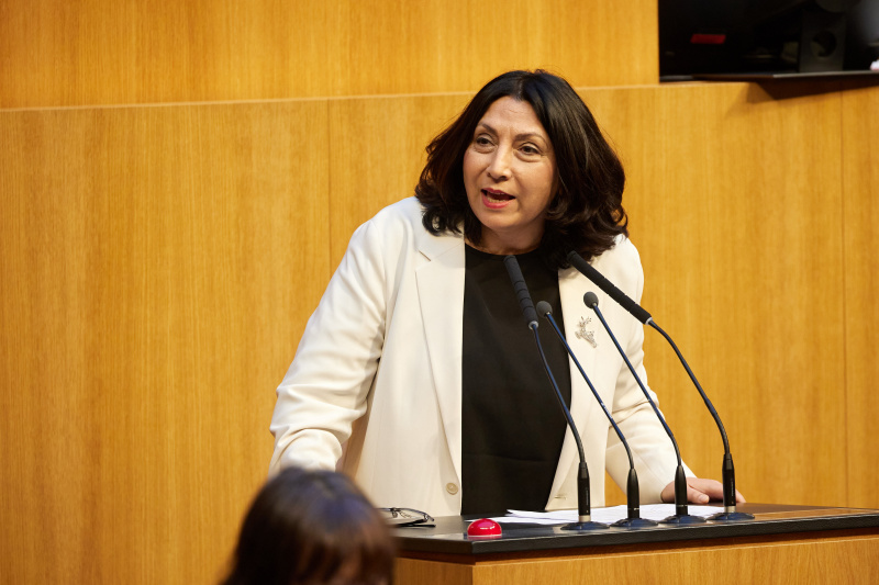 Am Redner:innenpult Nationalratsabgeordnete Selma Yildirim (SPÖ)