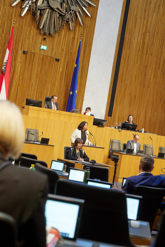 Am Redner:innenpult Nationalratsabgeordnete Selma Yildirim (SPÖ)