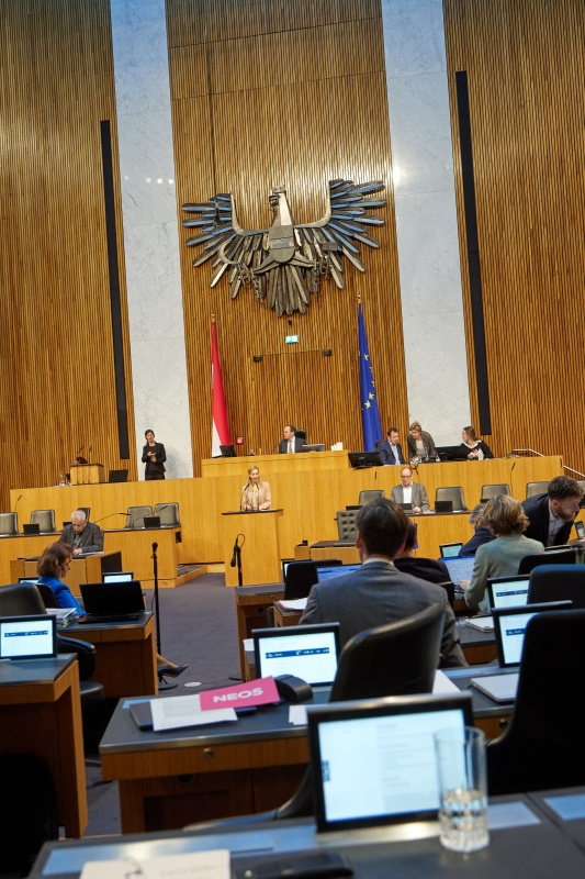 Am Redner:innenpult Nationalratsabgeordnete Agnes Sirkka Prammer (GRÜNE)