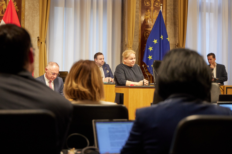 Am Redner:innenpult Vorsitzende der Bundesratsfraktion Korinna Schumann (SPÖ)