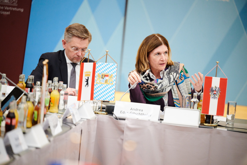 Bundesratspräsidentin Andrea Eder-Gitschthaler (ÖVP) am Wort