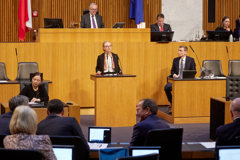 Am Redner:innenpult Nationalratsabgeordnete Barbara Kolm (FPÖ)