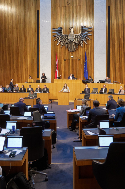 Am Redner:innenpult Nationalratsabgeordnete Julia Elisabeth Herr (SPÖ)