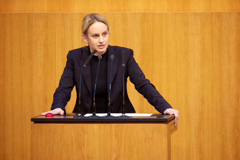 Am Redner:innenpult Nationalratsabgeordnete Michaela Schmidt (SPÖ)