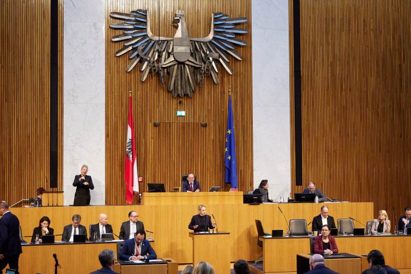 Am Redner:innenpult Nationalratsabgeordnete Michaela Schmidt (SPÖ)