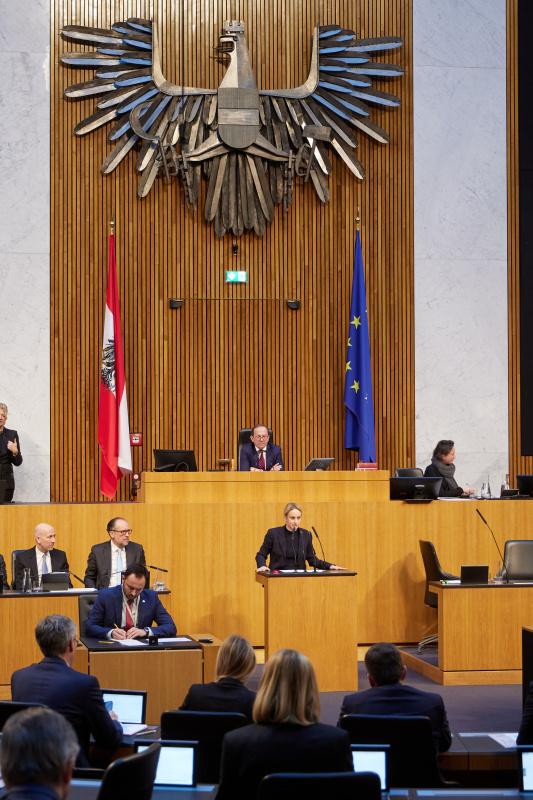 Am Redner:innenpult Nationalratsabgeordnete Michaela Schmidt (SPÖ)