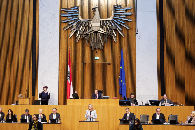 Am Redner:innenpult Nationalratsabgeordnete Pia Maria Wieninger (SPÖ)