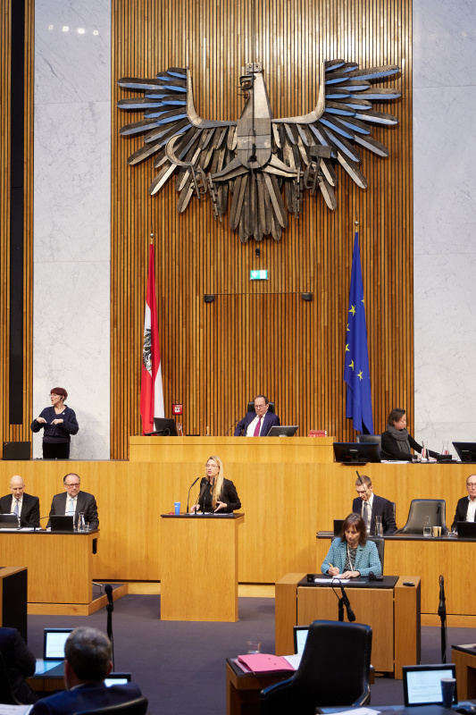 Am Redner:innenpult Nationalratsabgeordnete Juliane Bogner-Strauß (ÖVP)