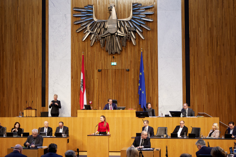 Am Redner:innenpult Nationalratsabgeordnete Sophie Marie Wotschke (NEOS)