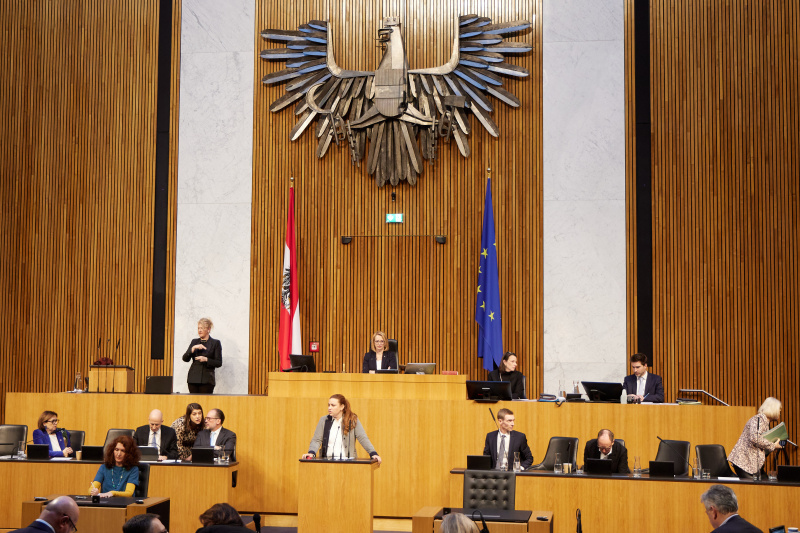 Am Redner:innenpult Nationalratsabgeordnete Nina Tomaselli (Grüne)