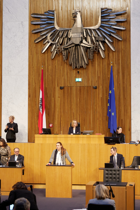 Am Redner:innenpult Nationalratsabgeordnete Nina Tomaselli (Grüne)