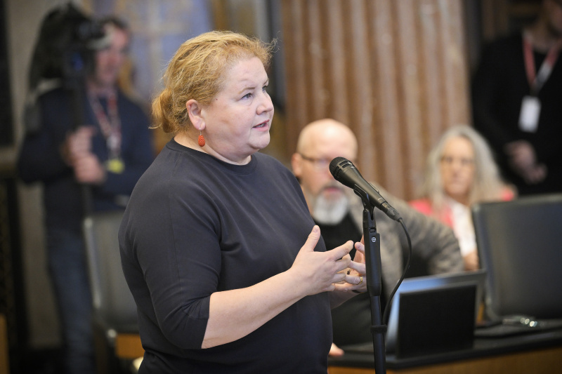 Am Wort Vorsitzende der Bundesratsfraktion Korinna Schumann (SPÖ)