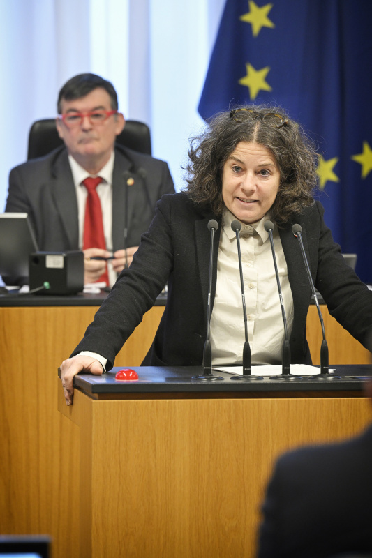 Am Redner:innenpult: Bundesrätin Elisabeth Kittl (GRÜNE)