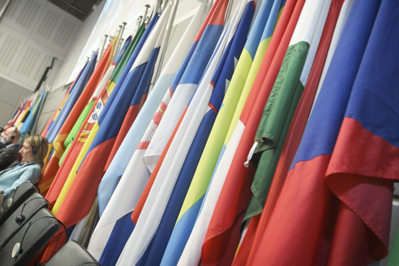 Fahnen in der Hofburg