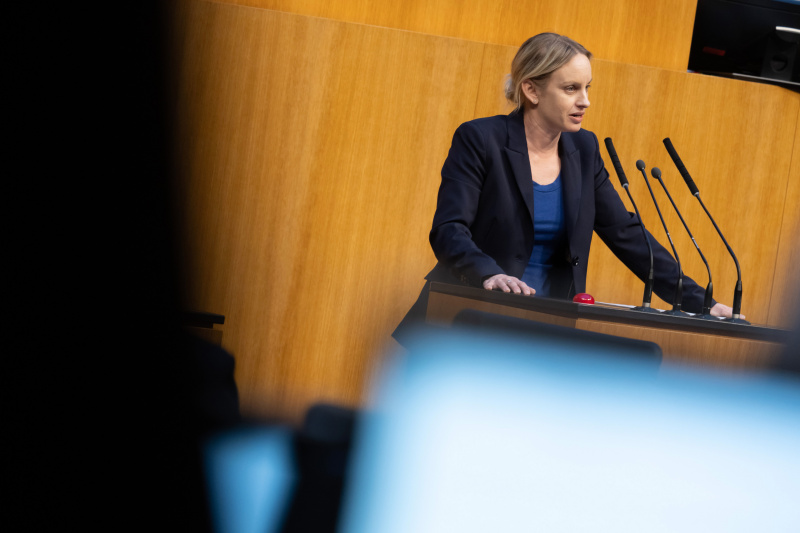 Am Redner:innenpult: Nationalratsabgeordnete Michaela Schmidt (SPÖ)