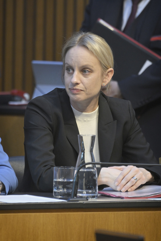 Staatssekretärin Michaela Schmidt (SPÖ)