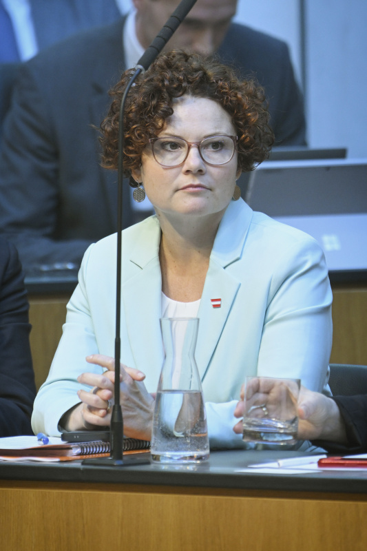 Staatssekretärin Elisabeth Zehetner (ÖVP)