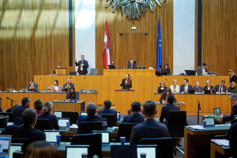 Am Redner:innenpult Nationalratsabgeordnete Susanne Fürst (FPÖ). Regierungsbank von rechts: Wissenschaftsministerin Eva Maria Holzleitner (SPÖ), Wirtschaftsminister Wolfgang Hattmannsdorfer (ÖVP), Justizministerin Anna Sporrer (SPÖ), Gesundheitsministerin Korinna Schumann (SPÖ), Landwirtschaftsminister Norbert Totschnig (ÖVP), Verteidigungsministerin Claudia Tanner (ÖVP), Außenministerin Beate Meinl-Reisinger (NEOS), Innenminister Gerhard Karner (ÖVP), Familienministerin Claudia Plakolm (ÖVP), Verkehrsminister Peter Hanke (SPÖ). Am Präsidium Zweiter Nationalratspräsident Peter Haubner (ÖVP)