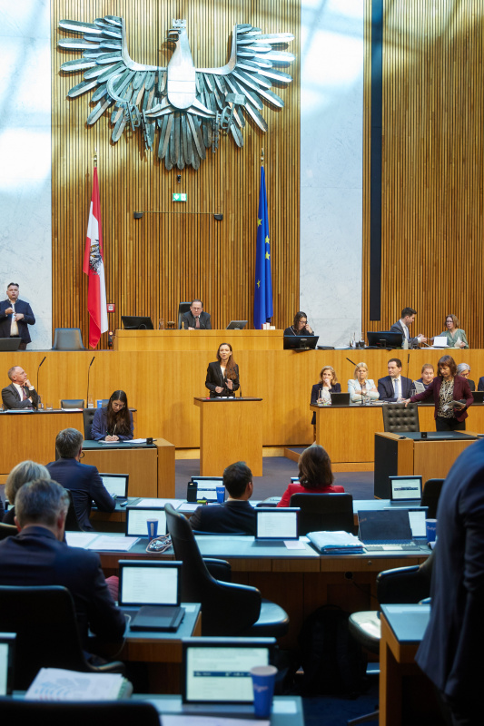Am Redner:innenpult Nationalratsabgeordnete Susanne Fürst (FPÖ). Regierungsbank von rechts: Gesundheitsministerin Korinna Schumann (SPÖ), Landwirtschaftsminister Norbert Totschnig (ÖVP), Verteidigungsministerin Claudia Tanner (ÖVP), Außenministerin Beate Meinl-Reisinger (NEOS), Vizekanzler Andreas Babler (SPÖ). Am Präsidium Zweiter Nationalratspräsident Peter Haubner (ÖVP)