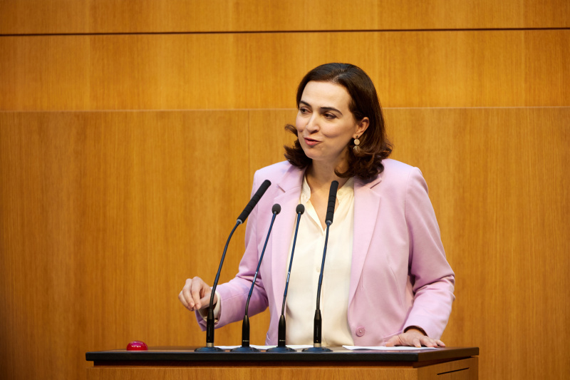 Am Redner:innenpult Nationalratsabgeordnete Alma Zadić (GRÜNE)