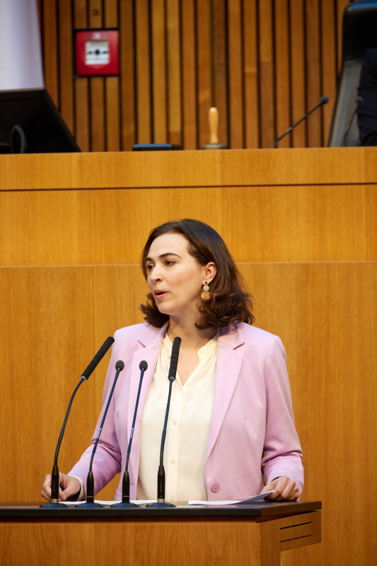 Am Redner:innenpult Nationalratsabgeordnete Alma Zadić (GRÜNE)