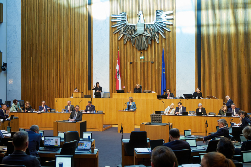 Am Redner:innenpult Nationalratsabgeordnete Stefanie Krisper (NEOS)