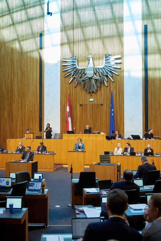 Am Redner:innenpult Nationalratsabgeordnete Stefanie Krisper (NEOS)