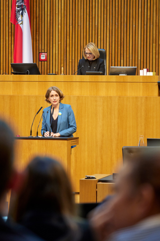 Am Redner:innenpult Nationalratsabgeordnete Stefanie Krisper (NEOS)