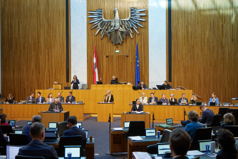 Am Redner:innenpult Nationalratsabgeordnete Barbara Kolm (FPÖ)