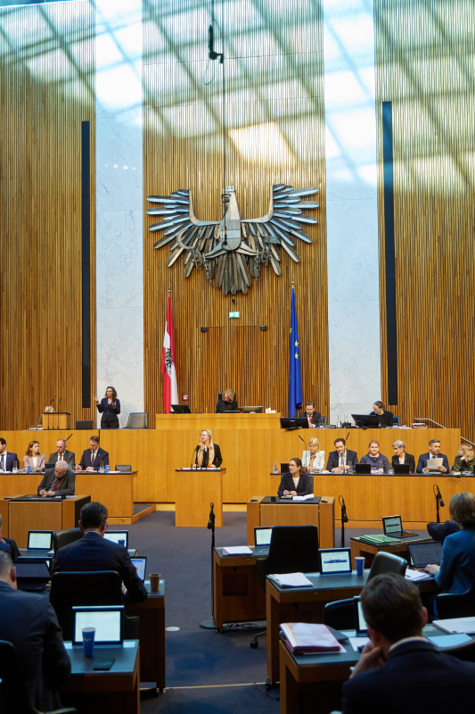 Am Redner:innenpult Nationalratsabgeordnete Barbara Kolm (FPÖ)