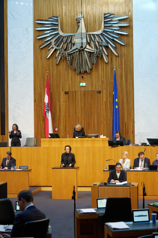 Am Redner:innenpult Nationalratsabgeordnete Martina von Künsberg Sarre (NEOS)