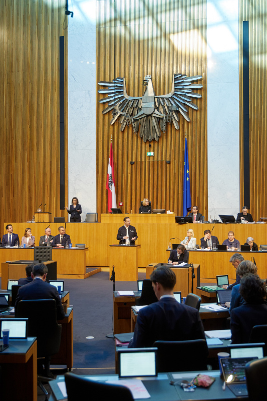 Am Redner:innenpult Nationalratsabgeordneter Hermann Brückl (FPÖ)