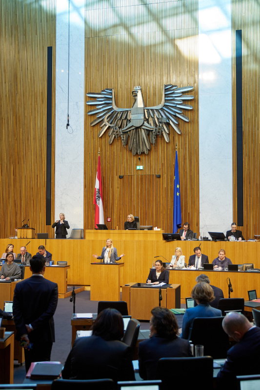 Am Redner:innenpult Nationalratsabgeordnete Juliane Bogner-Strauß (ÖVP)