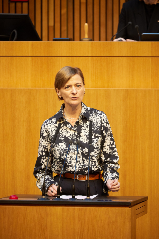 Am Redner:innenpult Nationalratsabgeordnete Sabine Schatz (SPÖ)