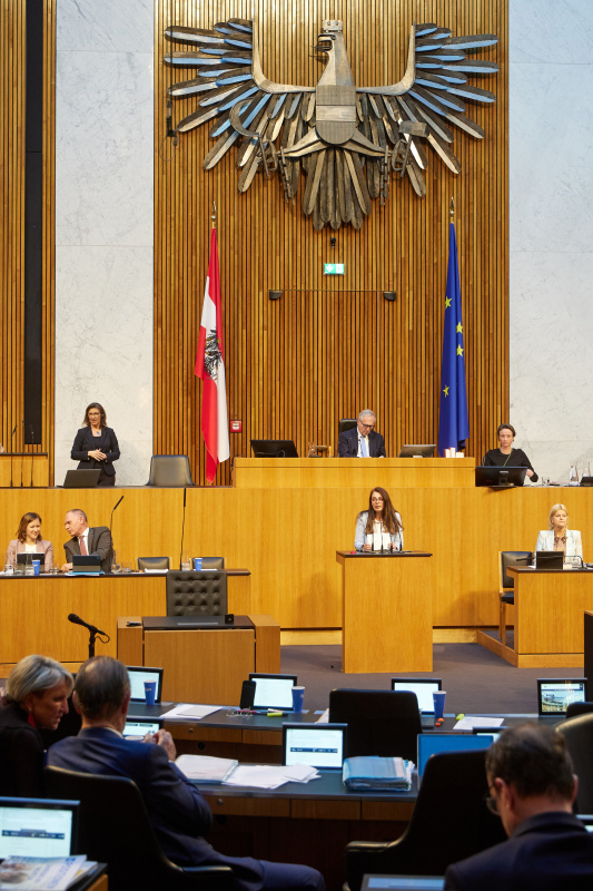 Am Redner:innenpult Nationalratsabgeordnete Katayun Pracher-Hilander (FPÖ)