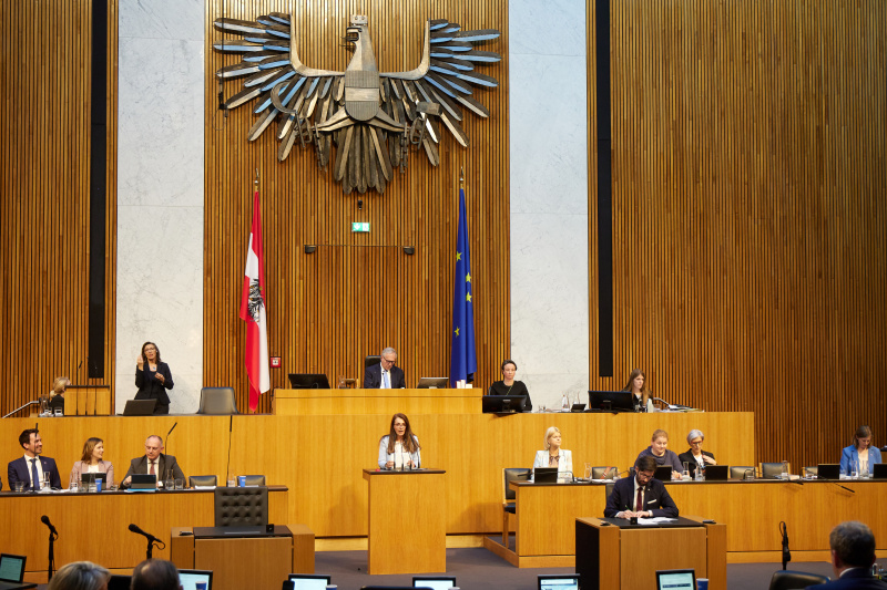 Am Redner:innenpult Nationalratsabgeordnete Katayun Pracher-Hilander (FPÖ)